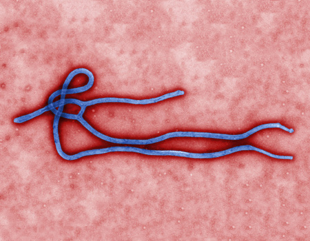 LG'den Ebola ile mücadeleye 'akıllı' destek