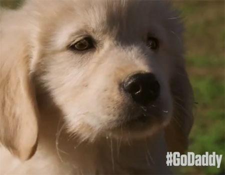 GoDaddy'den hedefi ıskalayan Super Bowl reklamı