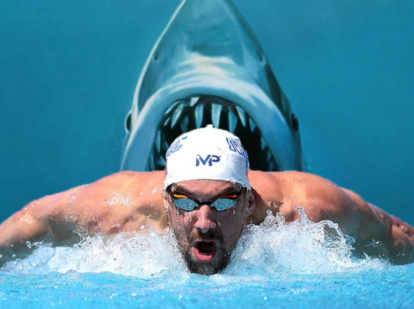 Michael Phelps’in son rakibi köpekbalığı