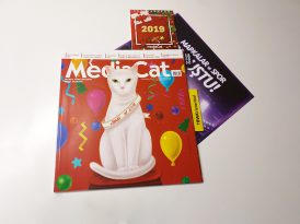 MediaCat'ten 2018'in "en"leri