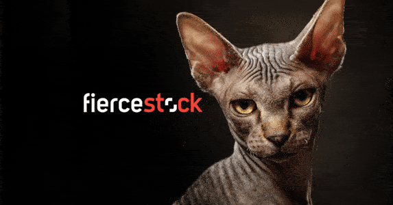 Stok değil, Shutterstock 