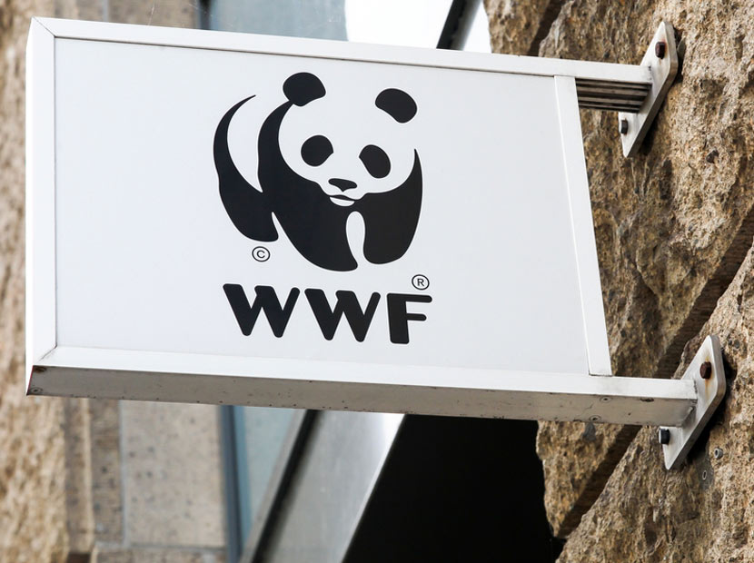 WWF-Türkiye dijital ajansını seçti