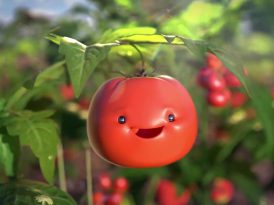 Sevimli domatesin güneş aşkı