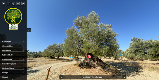 Komili 400+ Zeytinyağı