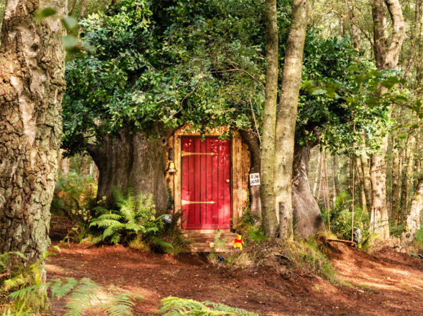 Winnie the Pooh’nun ağaç evi Airbnb’de