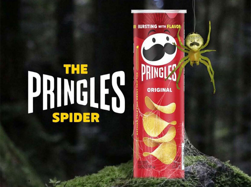 Dünyanın ilk markalı örümceği
