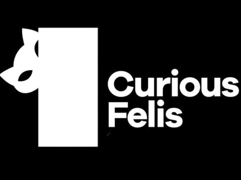 Curious Felis’in ilk finalistleri belli oldu